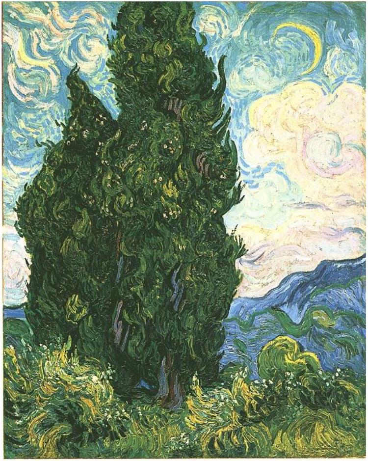 Van Gogh Cypresses