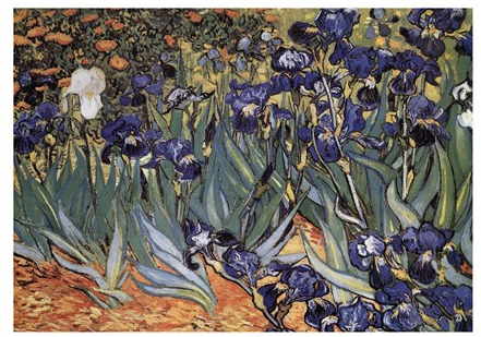 Van Gogh Irises Print